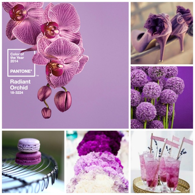Collage radiant orchid